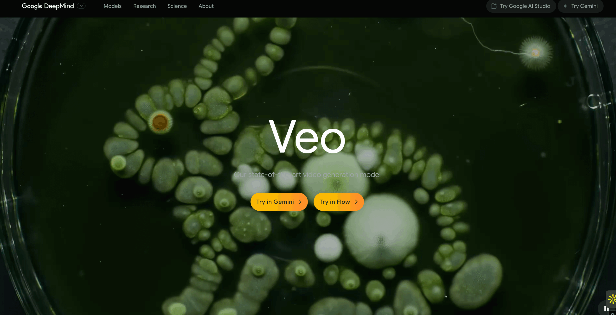 Google Veo
