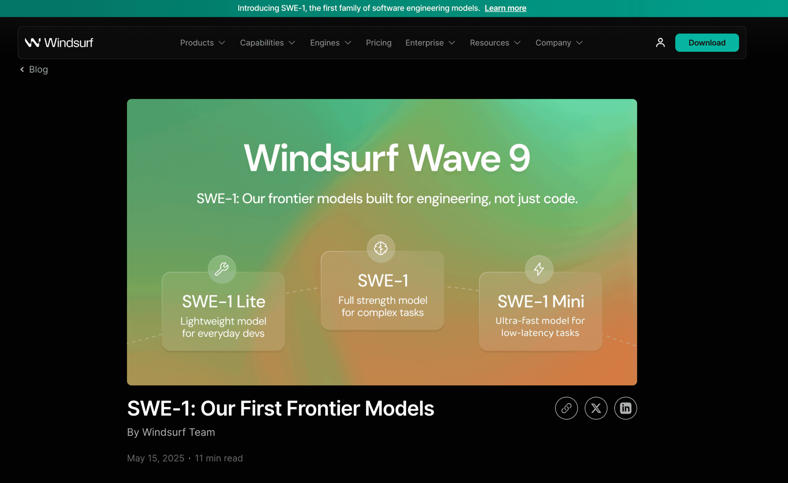 Windsurf Wave 9 Swe 1